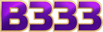 b333